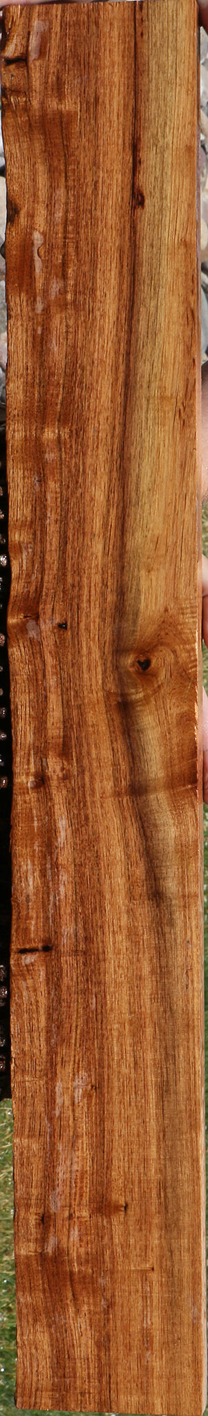 Madagascar Rosewood Live Edge Lumber