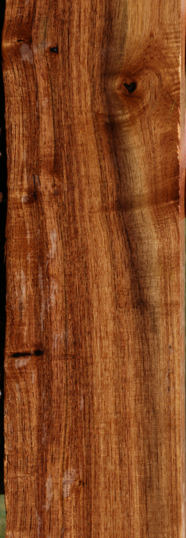 Madagascar Rosewood Live Edge Lumber