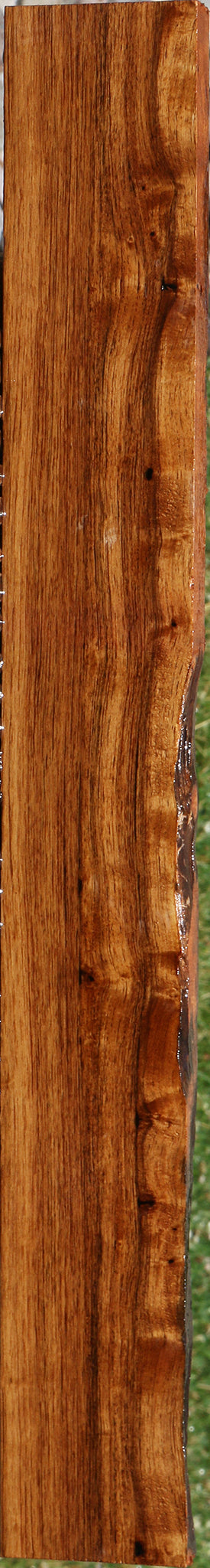 Madagascar Rosewood Live Edge Lumber