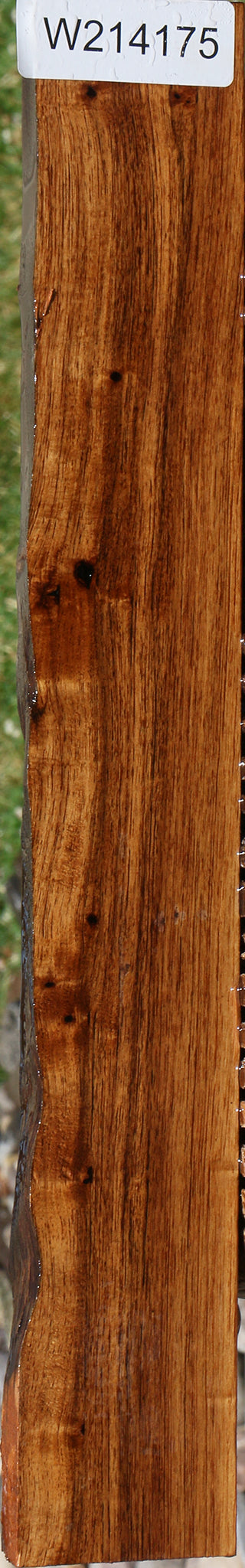 Madagascar Rosewood Live Edge Lumber