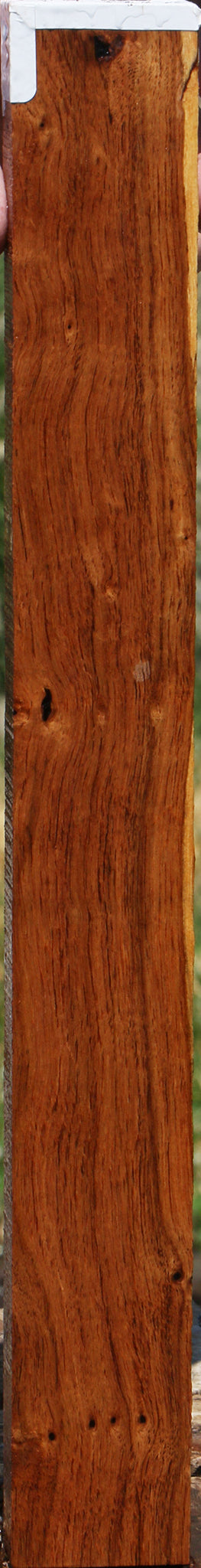 Madagascar Rosewood Lumber