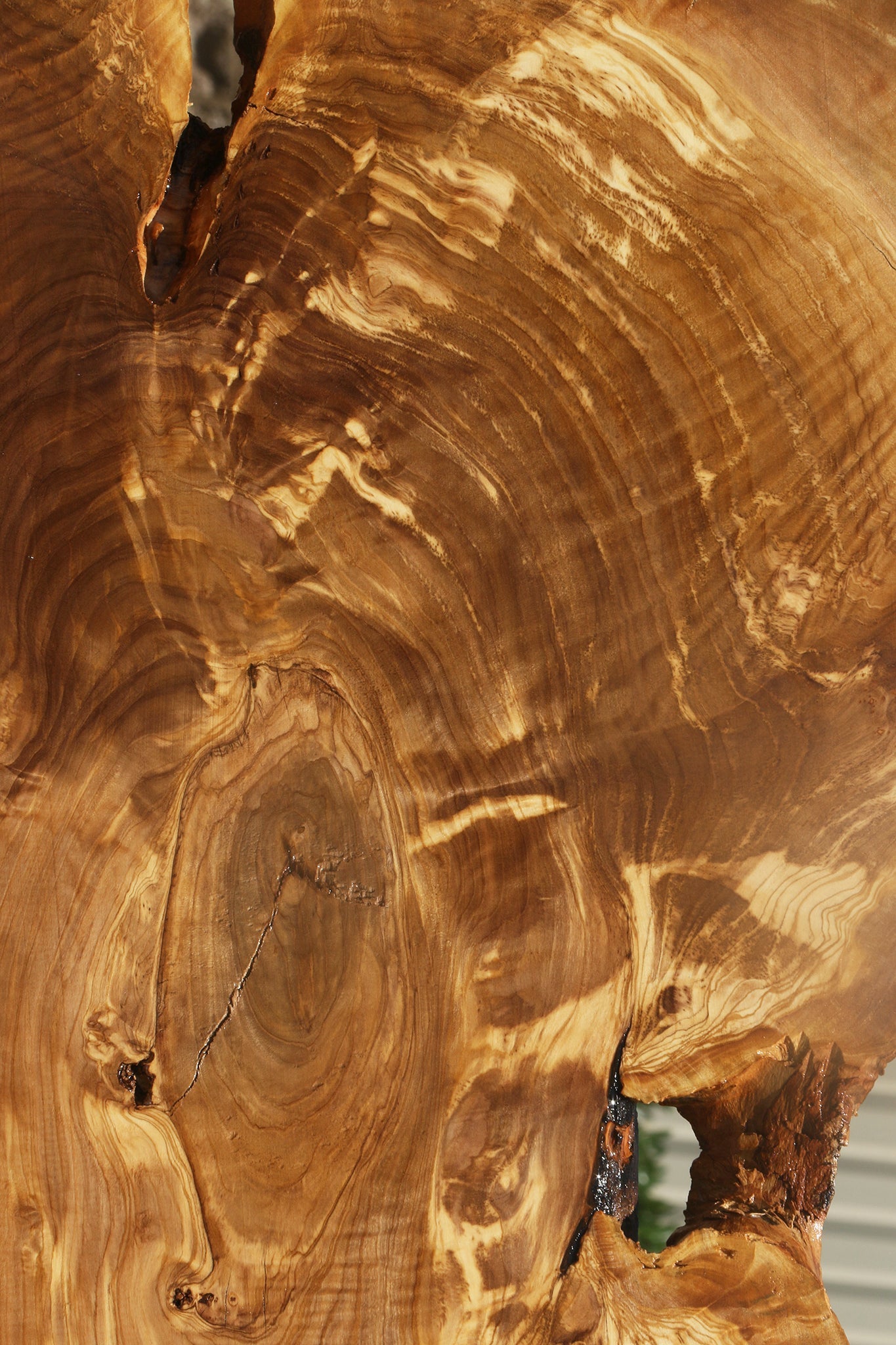 Rustic Italian Olive Live Edge Mini Slab