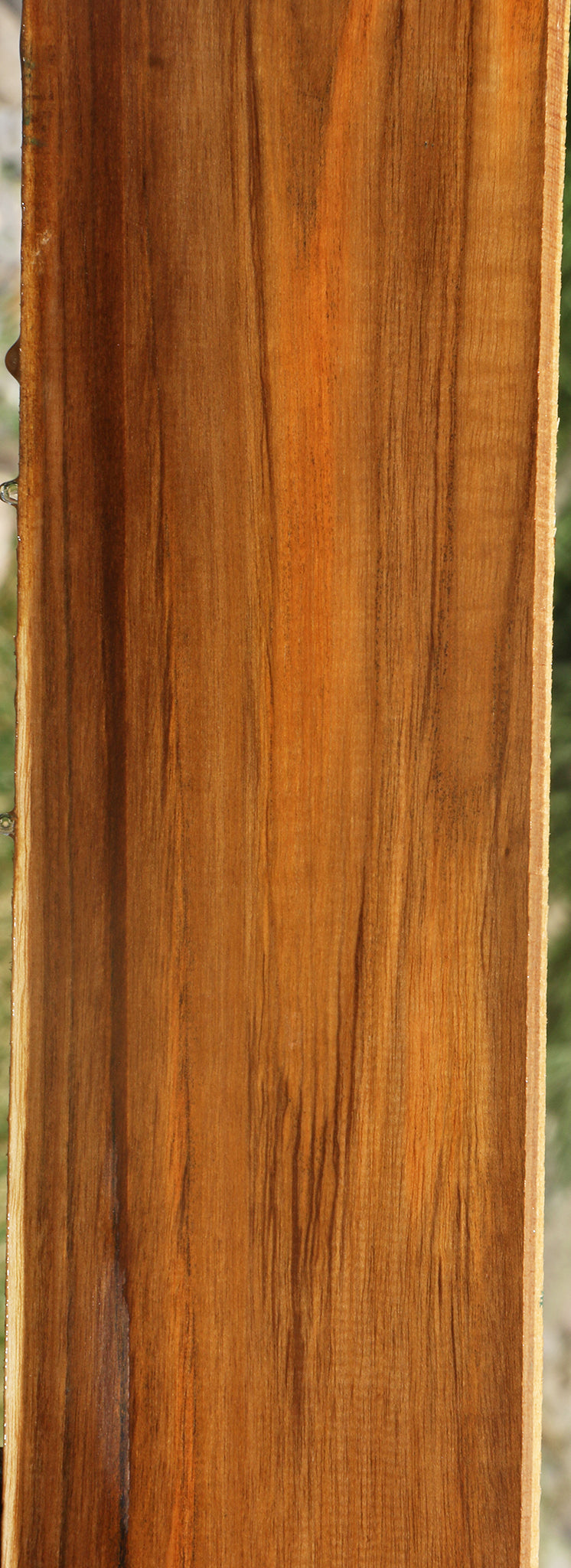 Teak Lumber