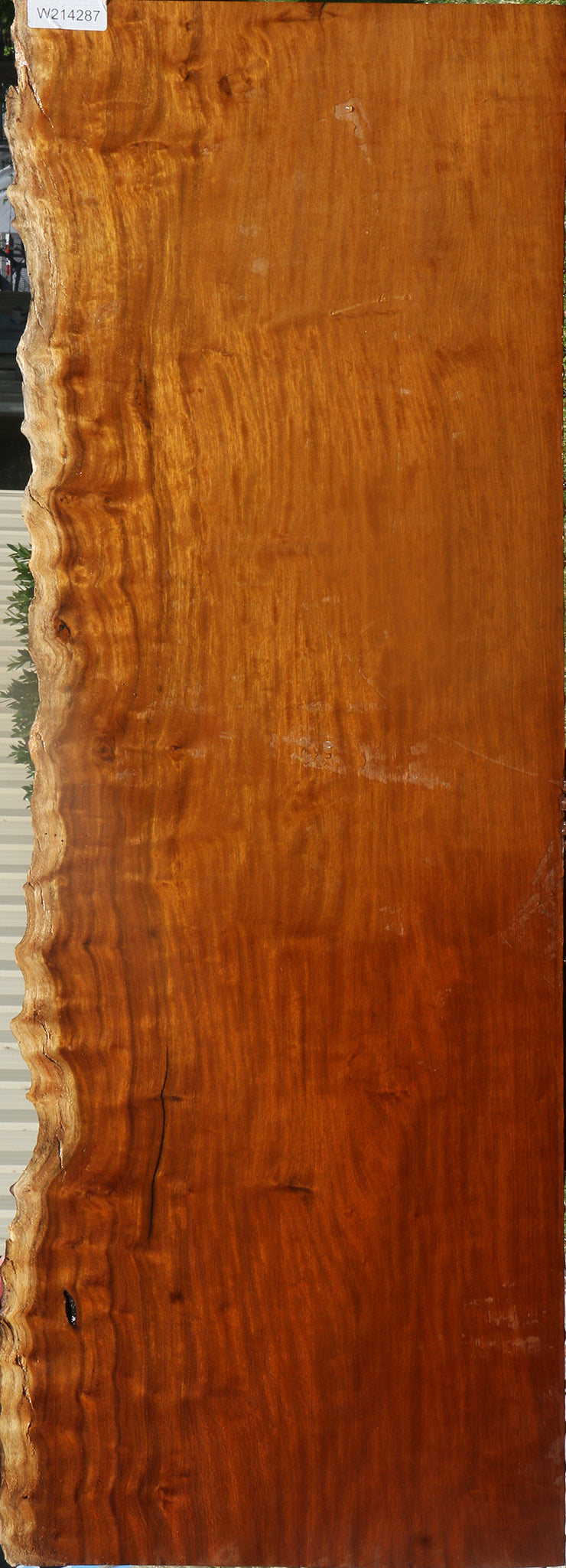 Itauba Live Edge Slab