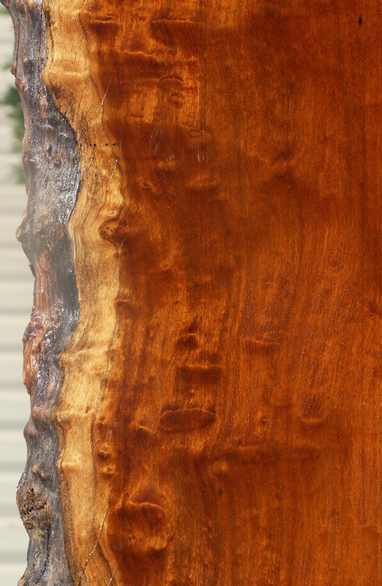 Itauba Live Edge Slab