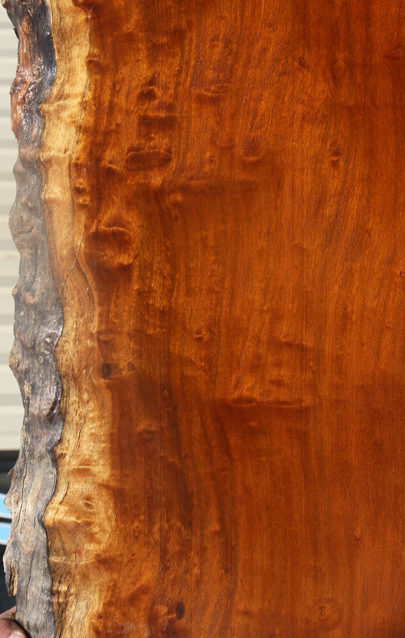 Itauba Live Edge Slab