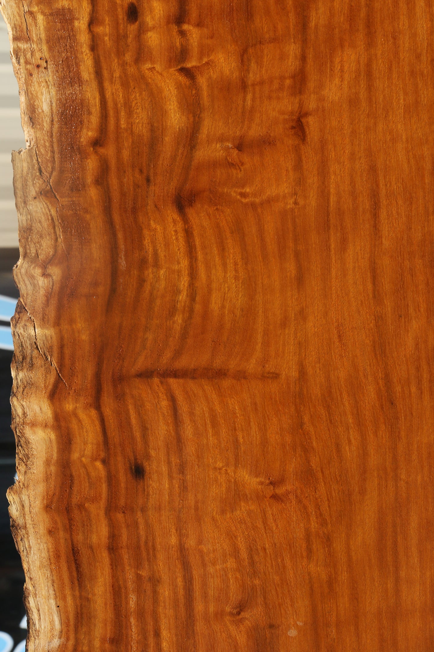 Itauba Live Edge Slab (Free Shipping Excluded)