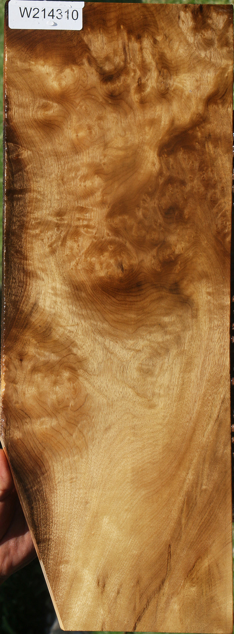 Myrtle Burl Instrument Lumber