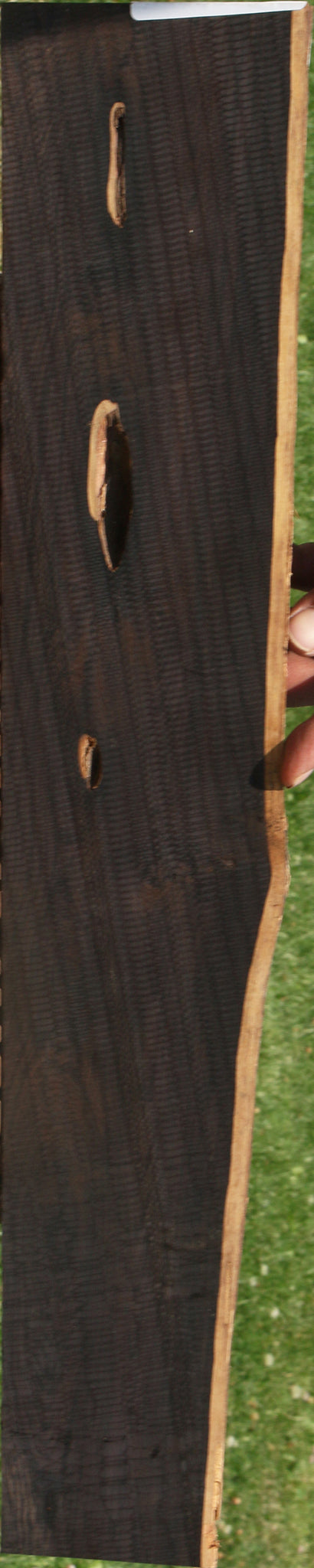 African Blackwood Live Edge Micro Lumber