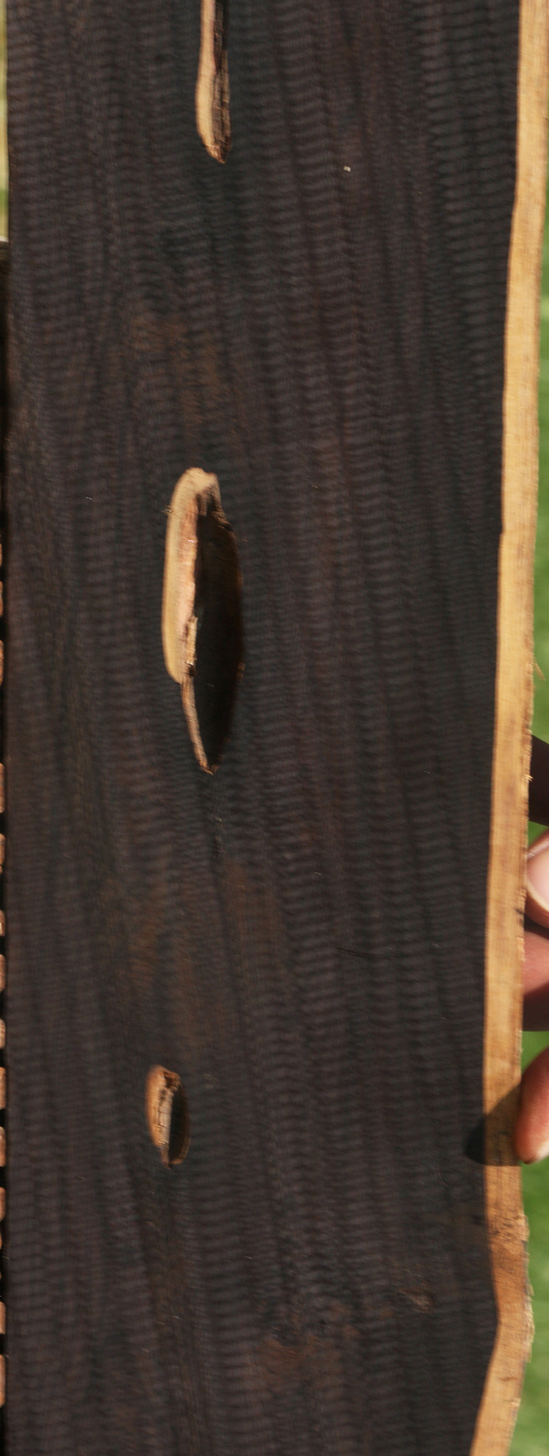 African Blackwood Live Edge Micro Lumber