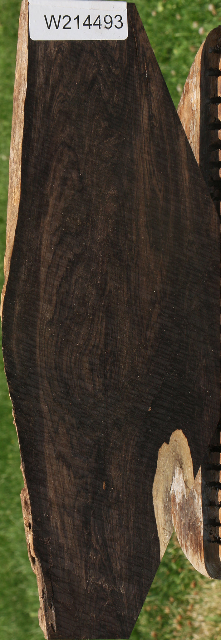 African Blackwood Live Edge Micro Lumber