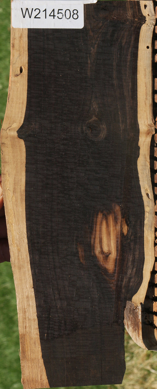 African Blackwood Live Edge Micro Lumber