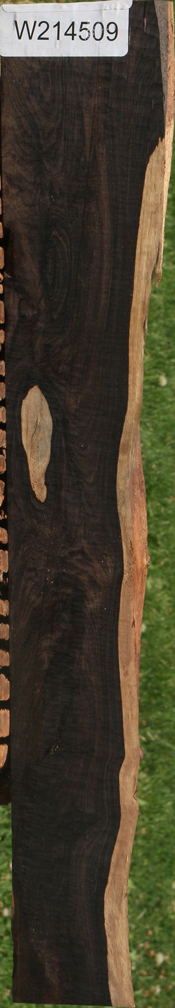 African Blackwood Live Edge Micro Lumber