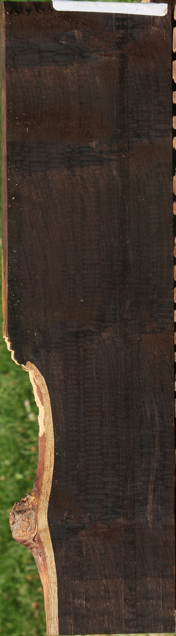 African Blackwood Micro Lumber