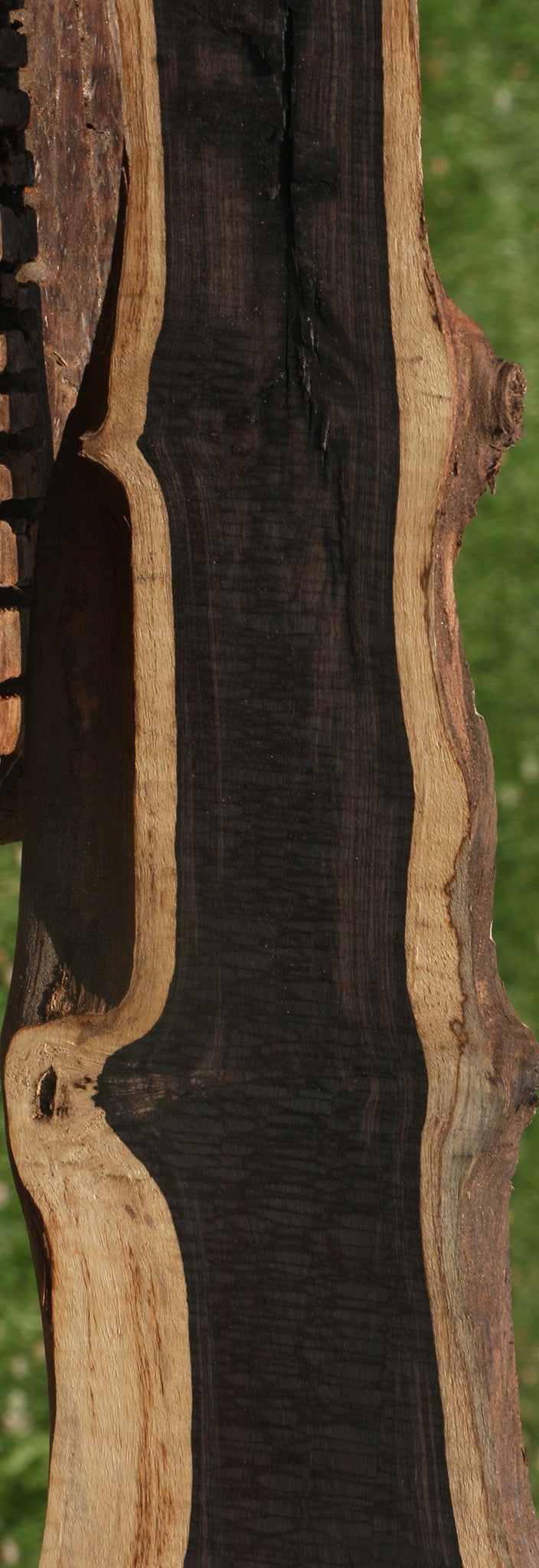 African Blackwood Live Edge Micro Lumber