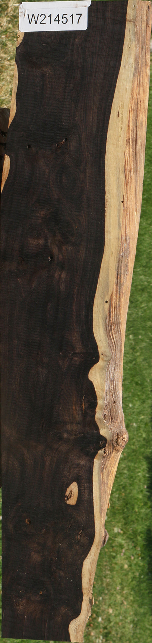 Figured African Blackwood Live Edge Lumber