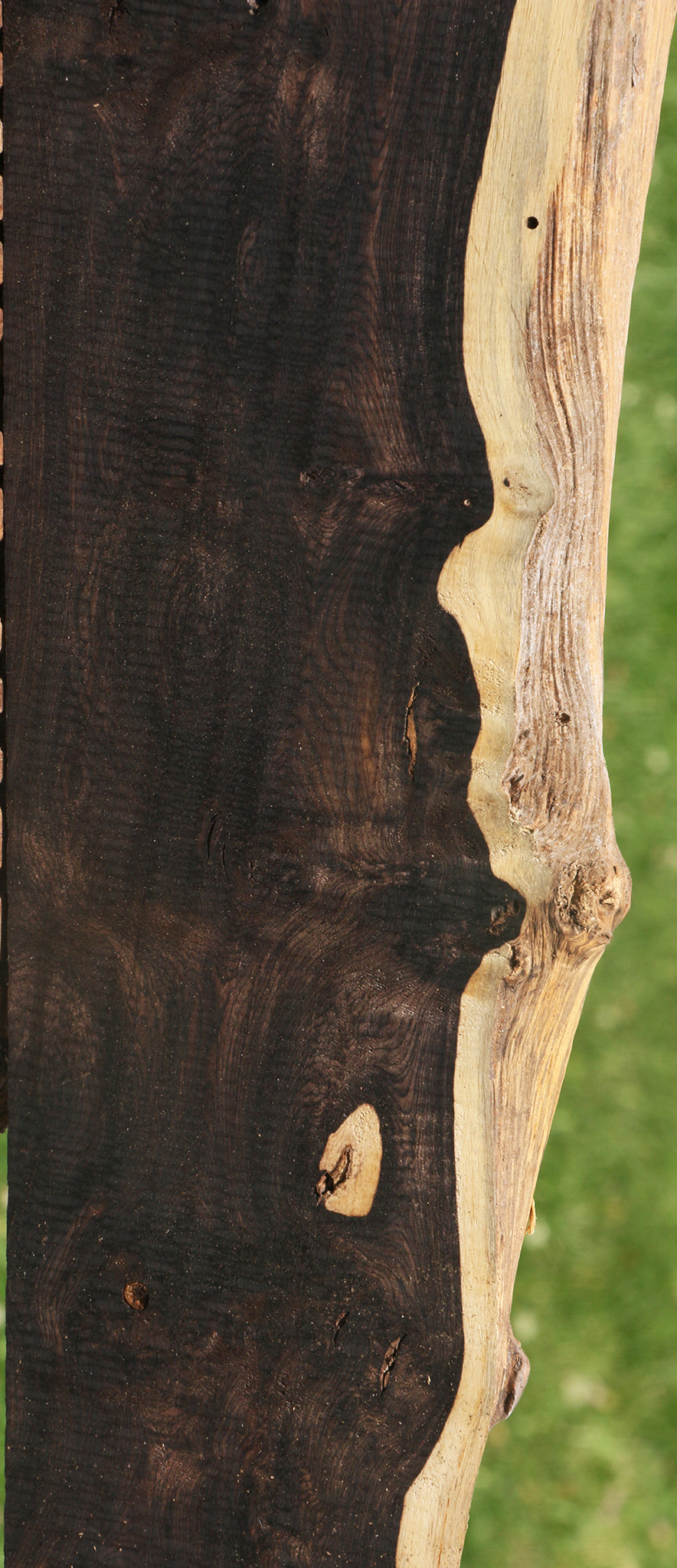 Figured African Blackwood Live Edge Lumber