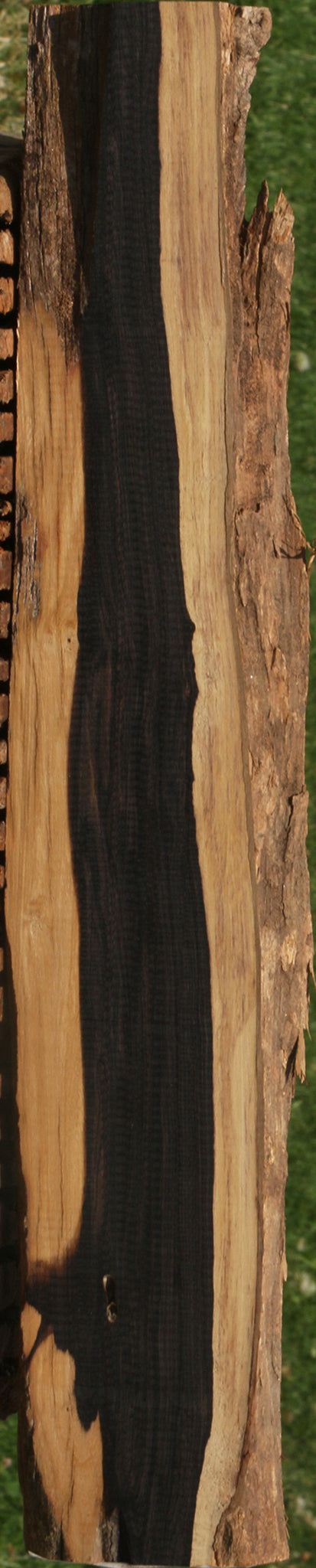 African Blackwood Live Edge Lumber