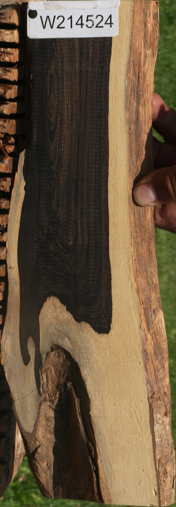 African Blackwood Live Edge Lumber