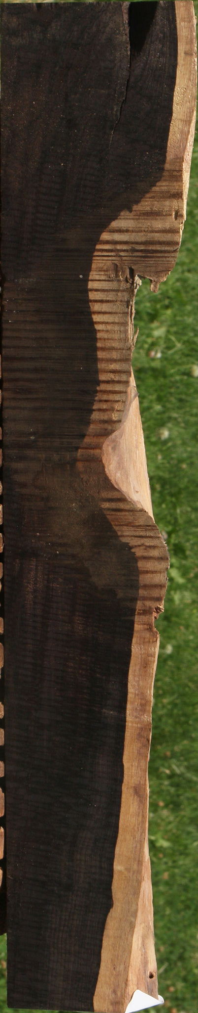 African Blackwood Live Edge Lumber