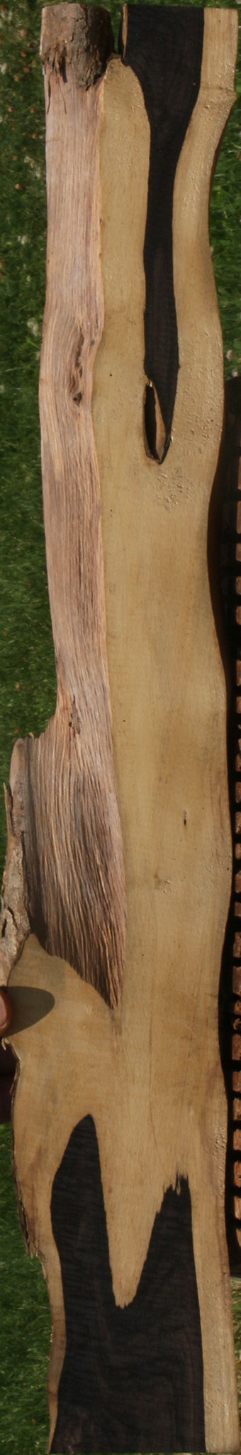 African Blackwood Live Edge Lumber