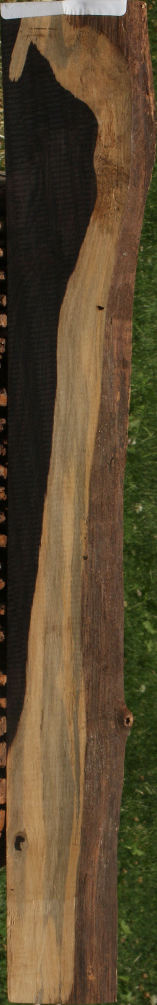 African Blackwood Live Edge Micro Lumber