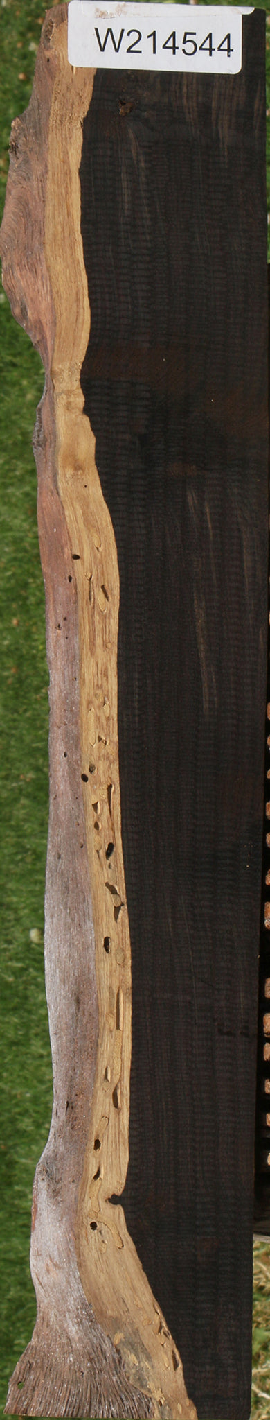 African Blackwood Live Edge Lumber