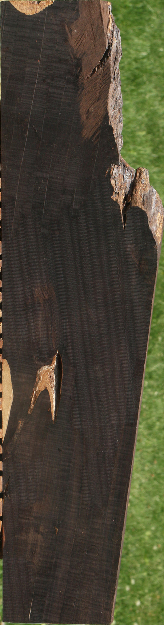 African Blackwood Live Edge Lumber