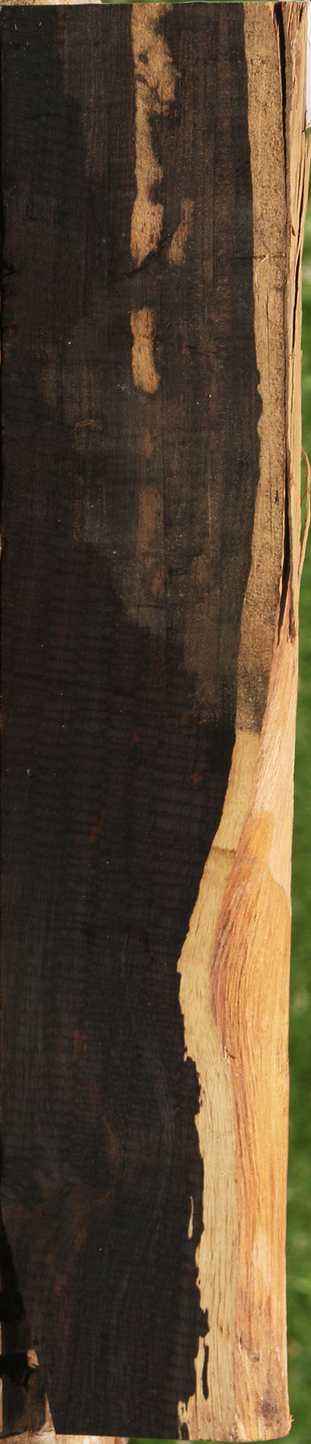 African Blackwood Live Edge Lumber