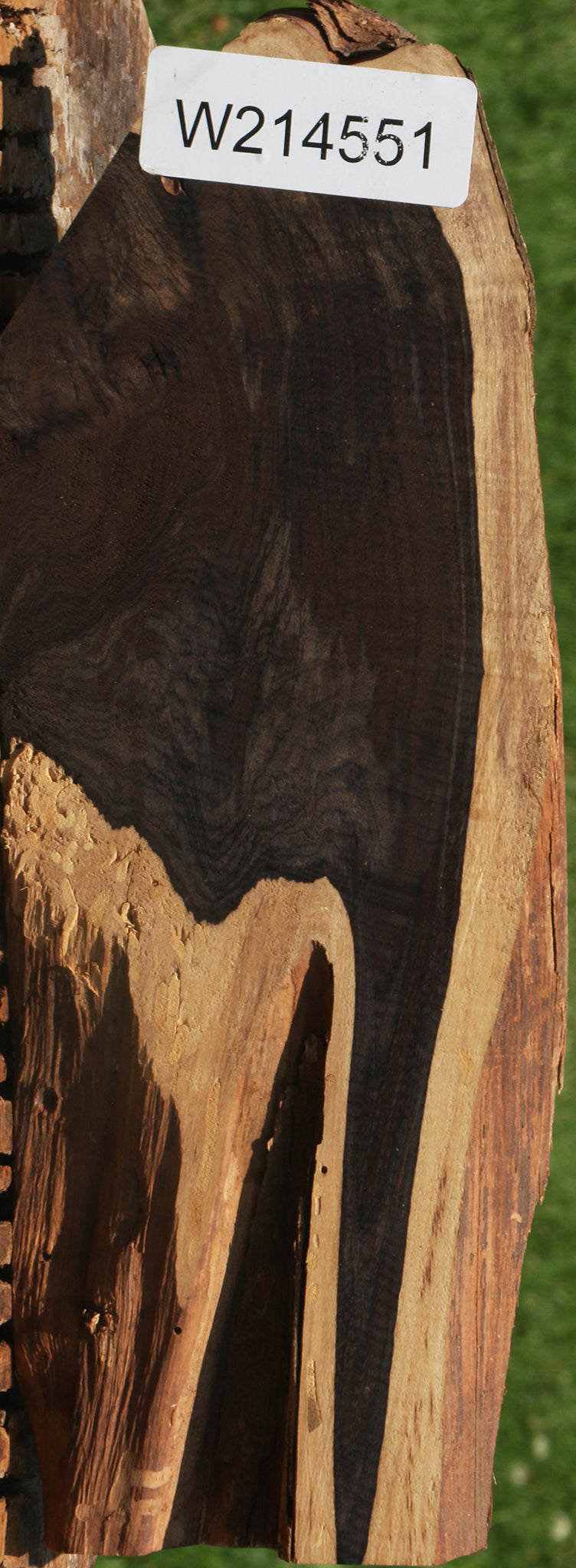 African Blackwood Live Edge Lumber