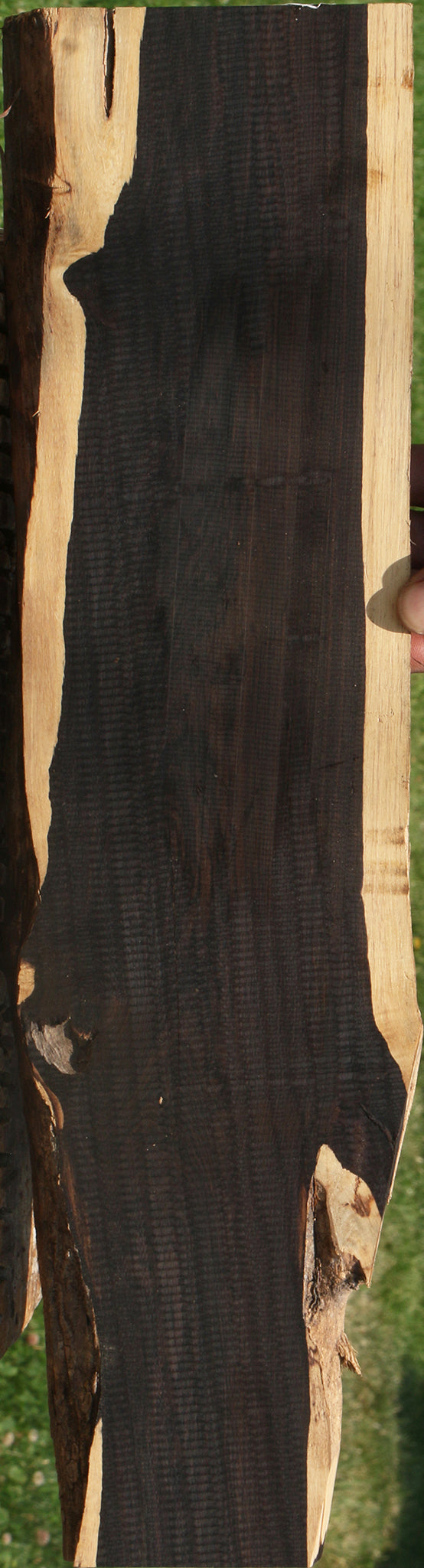 African Blackwood Live Edge Lumber