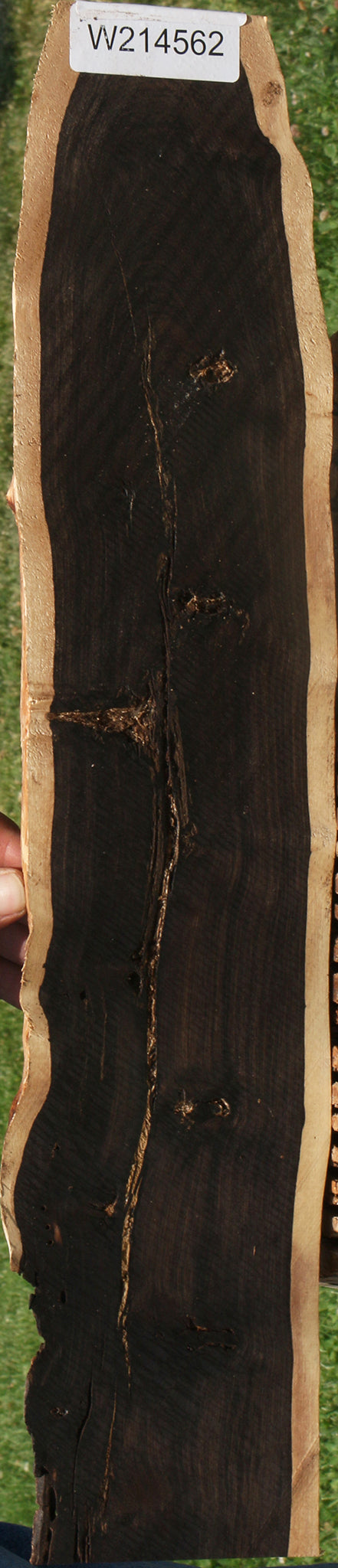 Rustic African Blackwood Live Edge Micro Lumber