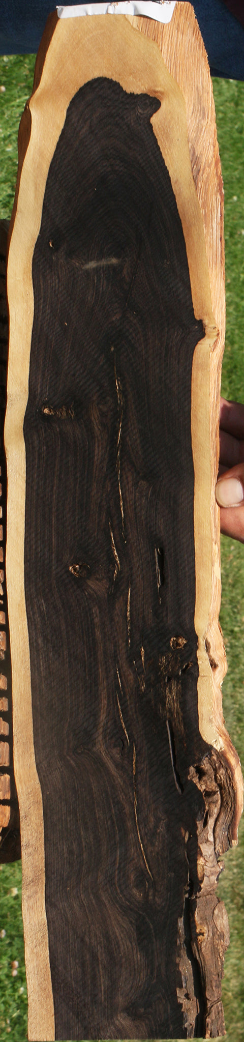 Rustic African Blackwood Live Edge Micro Lumber