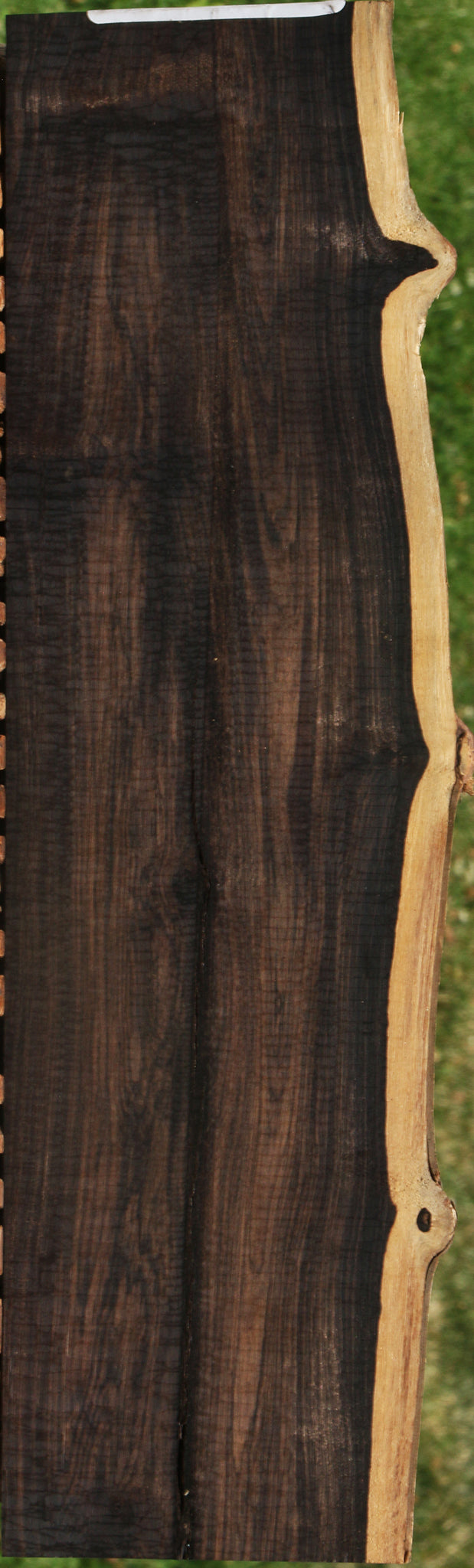 African Blackwood Live Edge Lumber