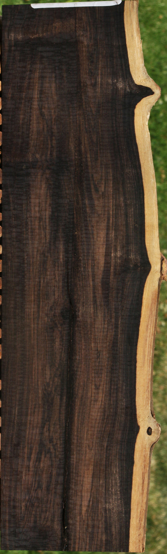 African Blackwood Live Edge Lumber