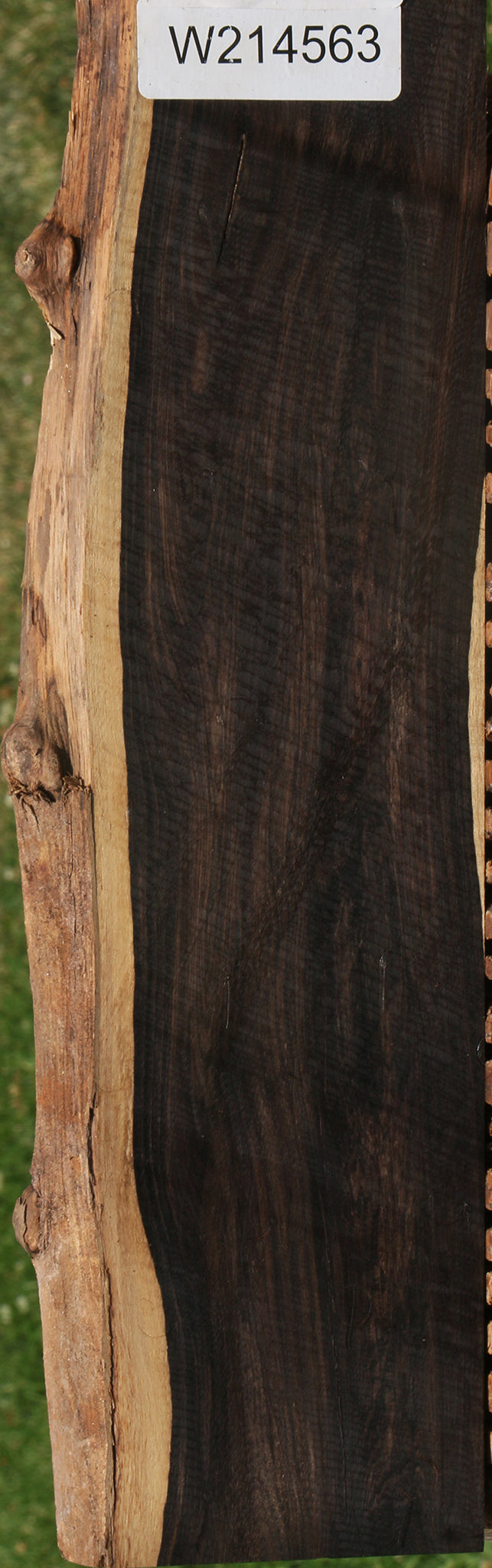 African Blackwood Live Edge Lumber