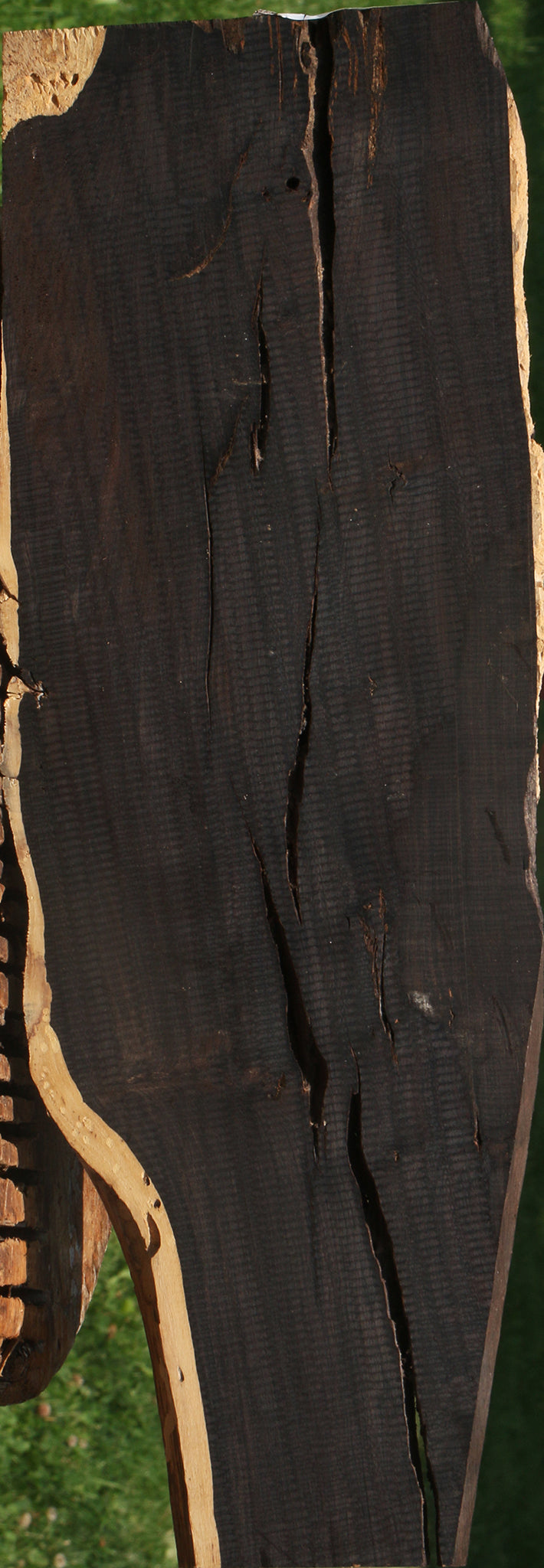 Rustic African Blackwood Live Edge Lumber