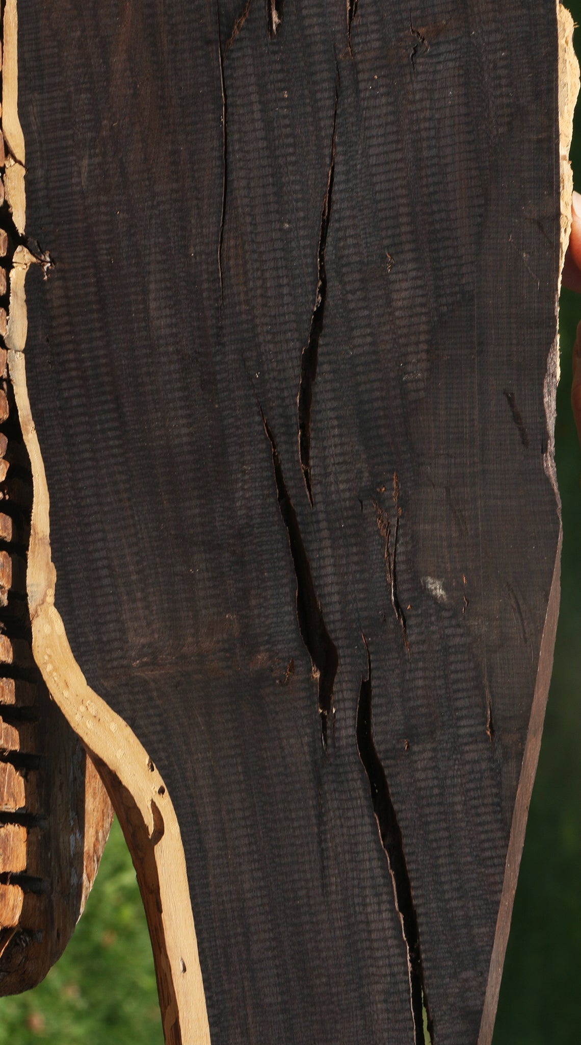 Rustic African Blackwood Live Edge Lumber