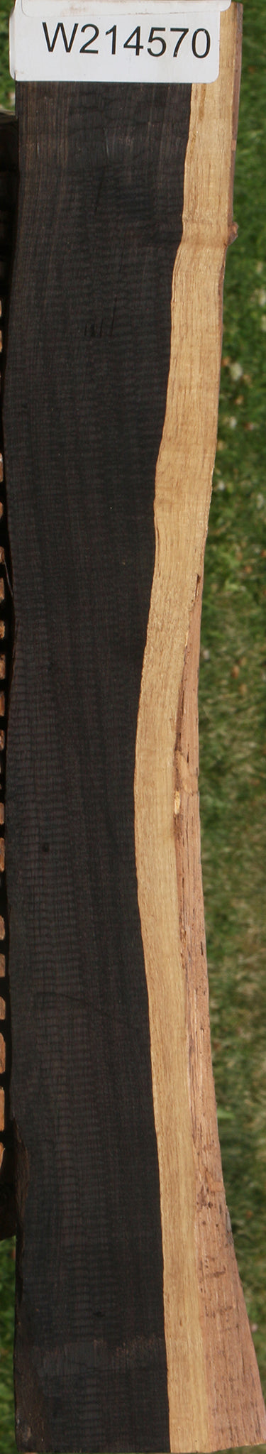 African Blackwood Live Edge Lumber