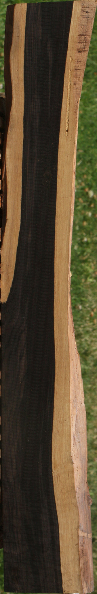 African Blackwood Live Edge Lumber