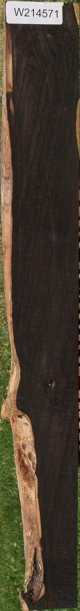 African Blackwood Live Edge Lumber