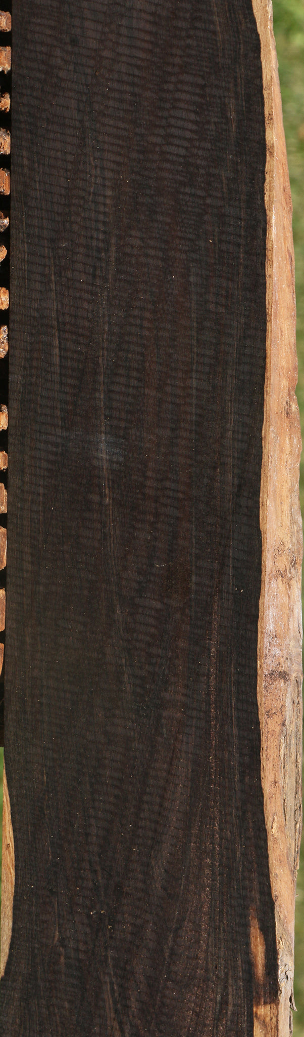 African Blackwood Live Edge Lumber