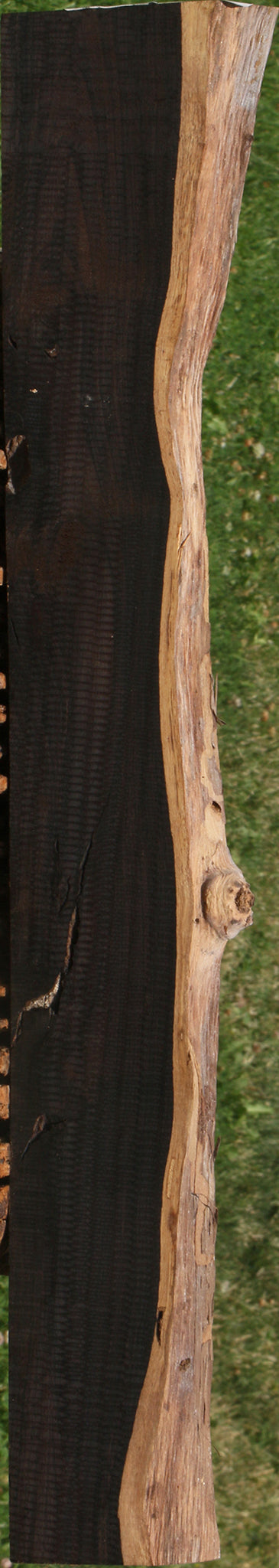 African Blackwood Live Edge Lumber