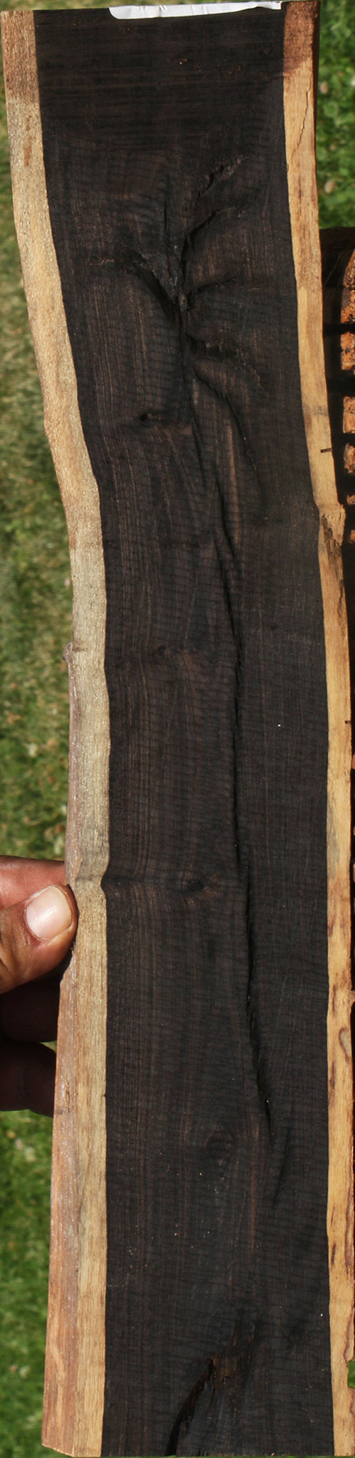 Rustic African Blackwood Live Edge Micro Lumber