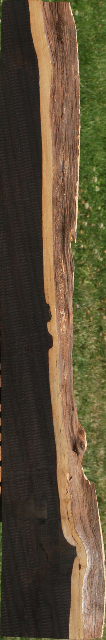 African Blackwood Live Edge Lumber