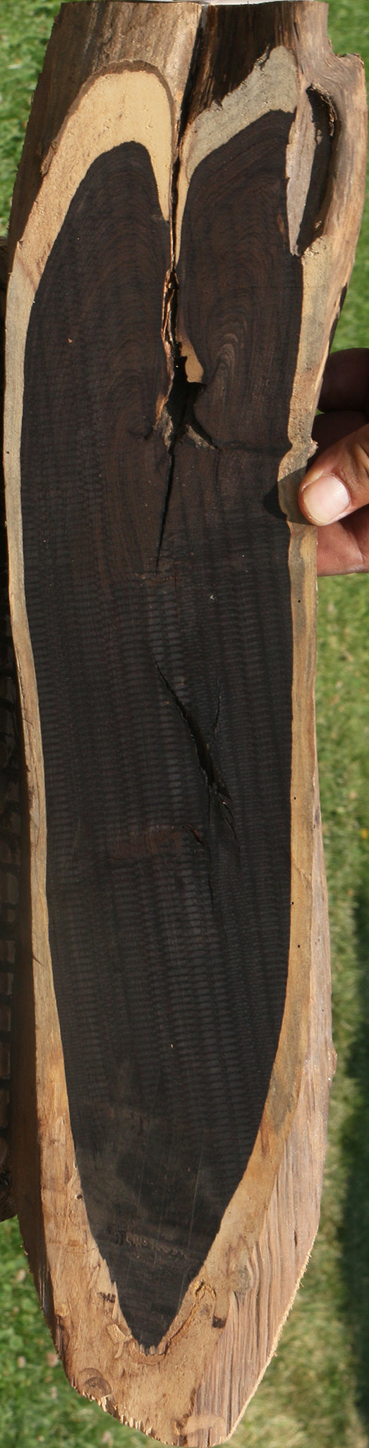 Rustic African Blackwood Lumber