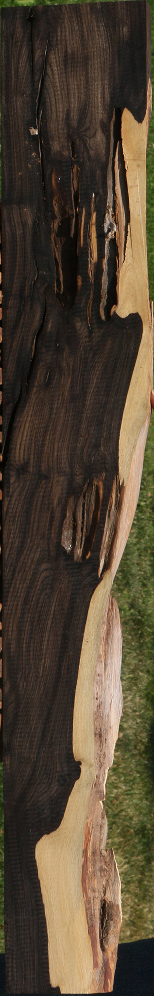 Rustic African Blackwood Live Edge Lumber