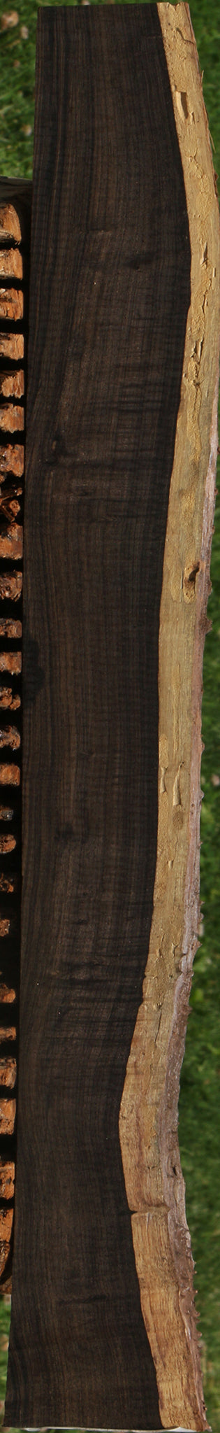 Extra Fancy African Blackwood Live Edge Lumber