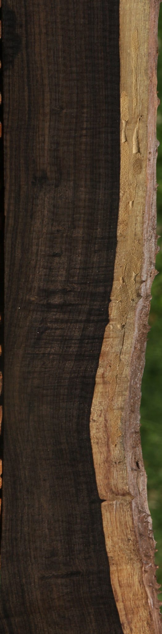 Extra Fancy African Blackwood Live Edge Lumber