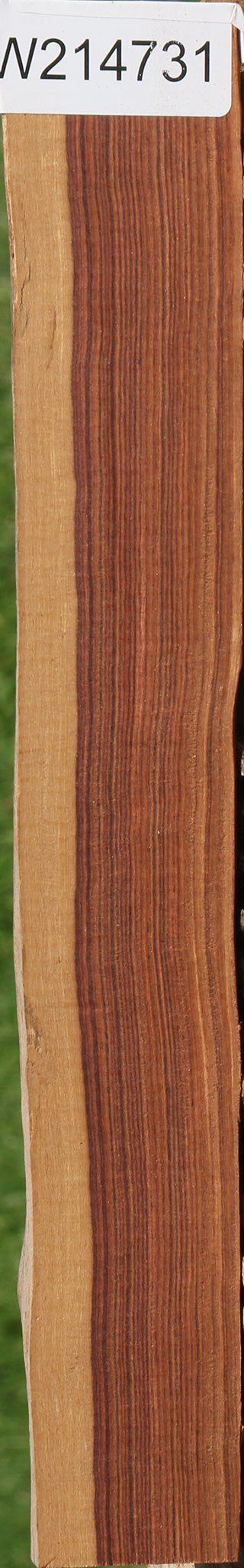 Kingwood Micro Lumber